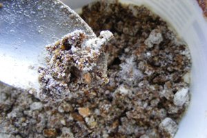Big Carp Bait Ingredients And Recipes For Nutritional Easy Homemade Baits!