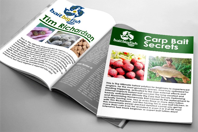 ebook_s